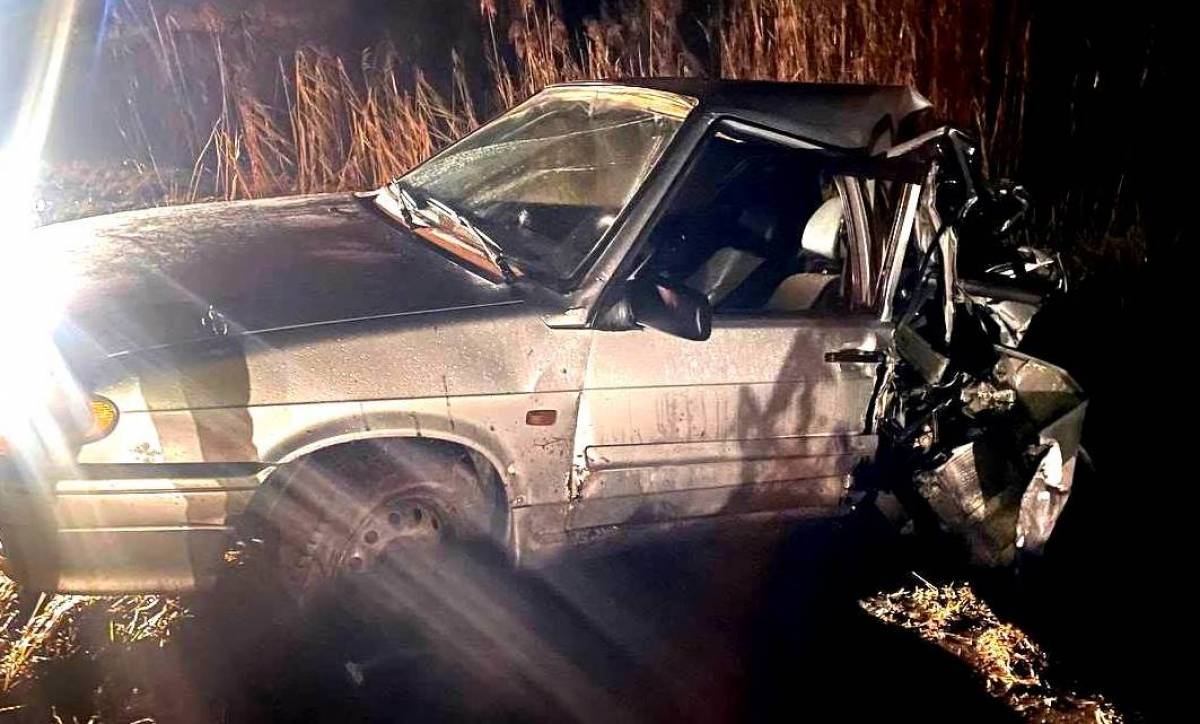 В Новгородском округе «ПАЗик» врезался в стоящий на обочине автомобиль