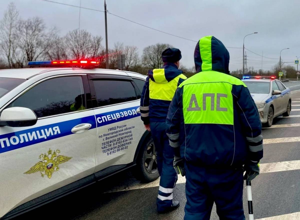 В Пестовском округе задержали 17-летнего тверитянина на родительском авто